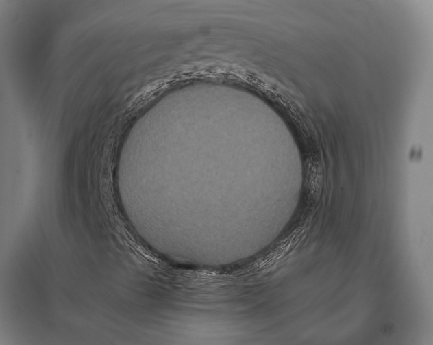 X0000097761489200803281621