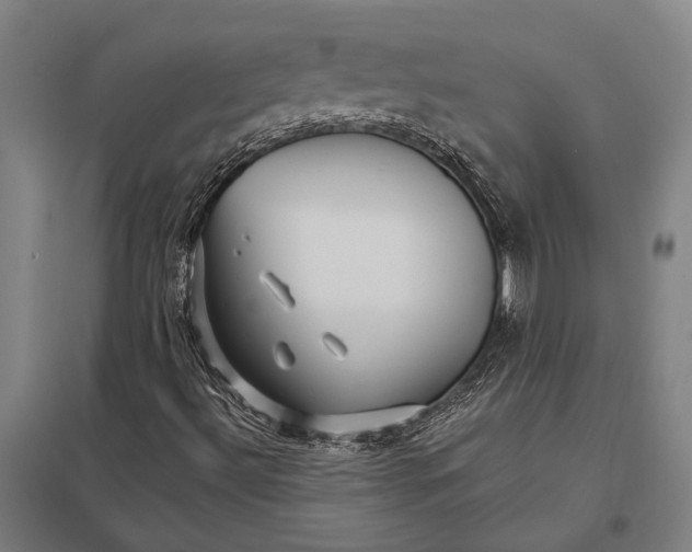 X0000097761492200803281621