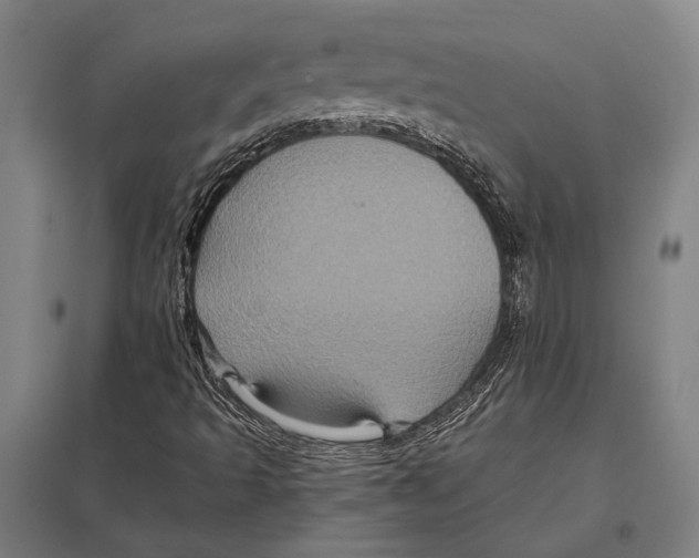 X0000097761493200803281621