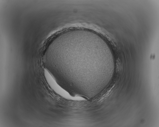 X0000097761494200803281621