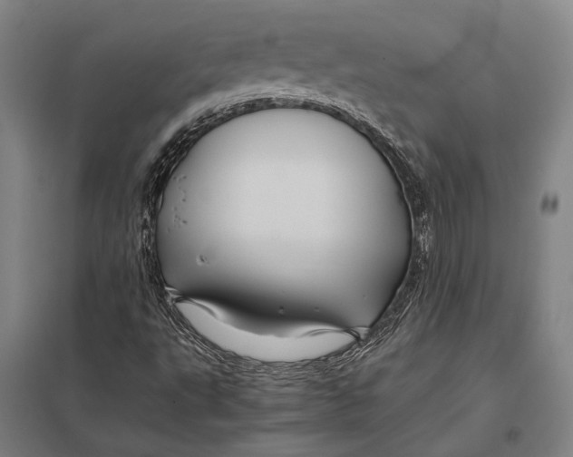 X0000097761495200803281621