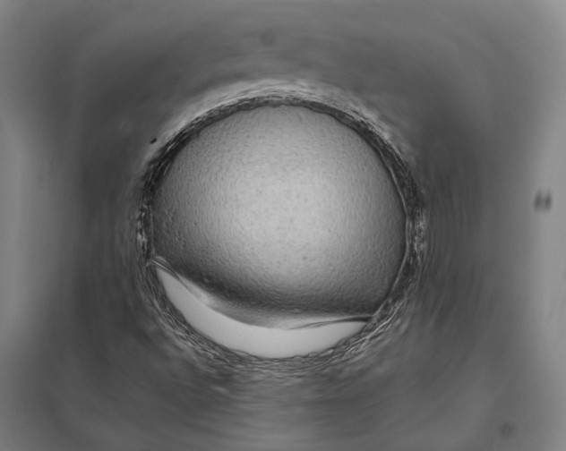 X0000097761496200803281621