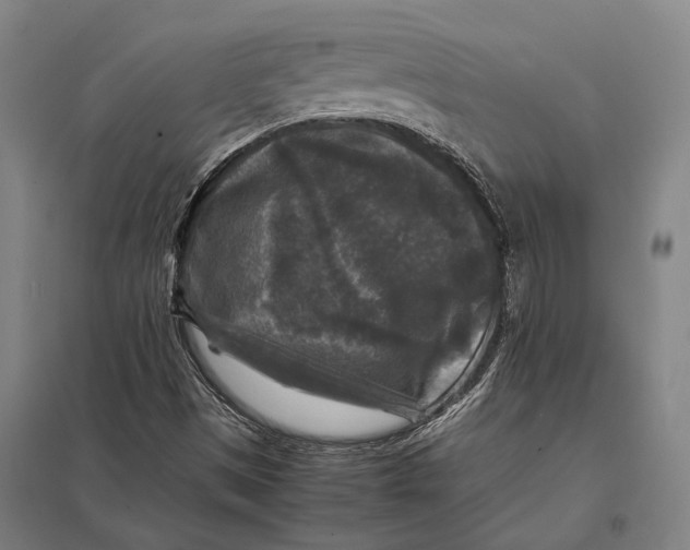 X0000097761497200803281621