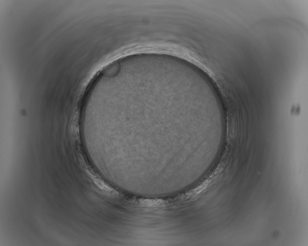 X0000097761498200803281621