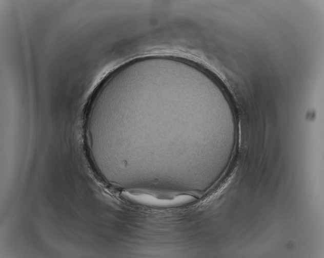 X0000097761501200803281621