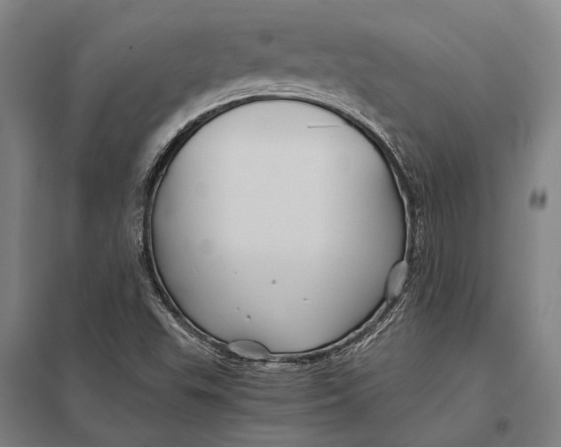 X0000097761503200803281621