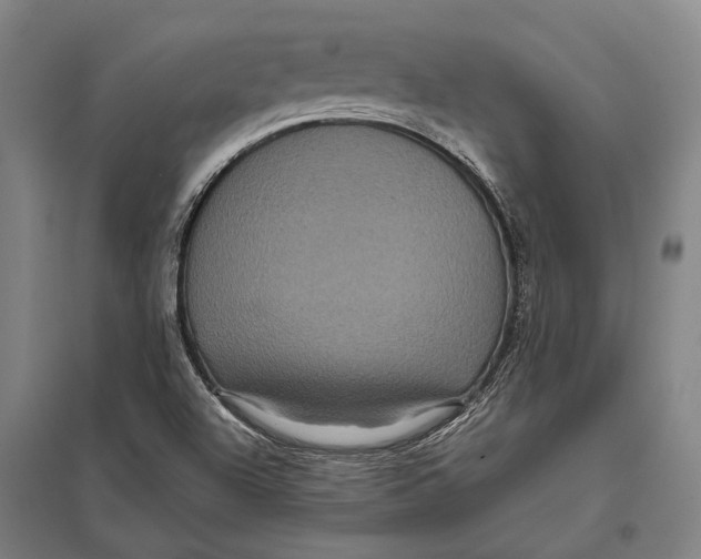 X0000097761504200803281621