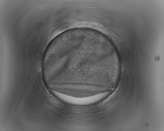 X0000097761505200803281621