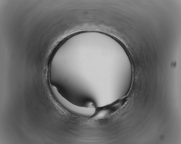 X0000097761507200803281621