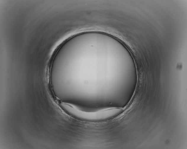 X0000097761510200803281621