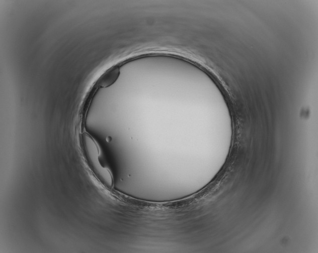 X0000097761511200803281621