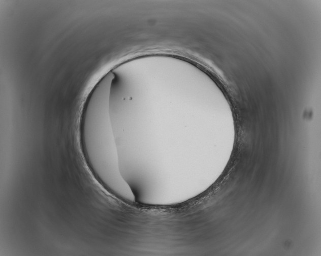 X0000097761512200803281621