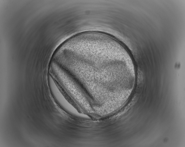 X0000097761513200803281621