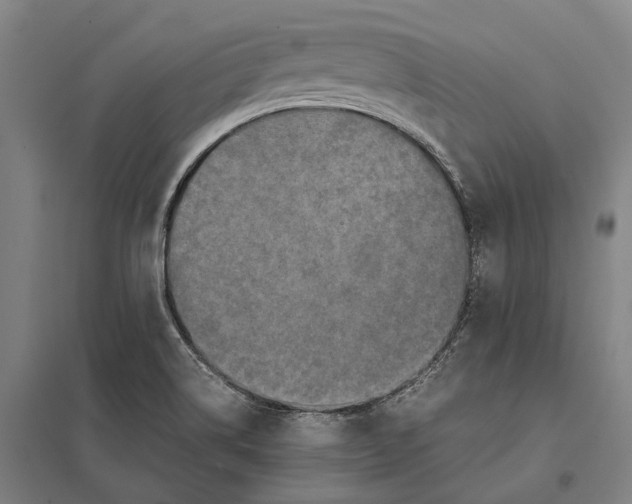 X0000097761514200803281621