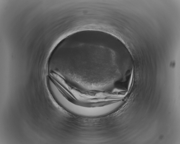 X0000097761515200803281621