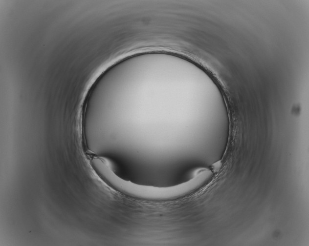 X0000097761516200803281622