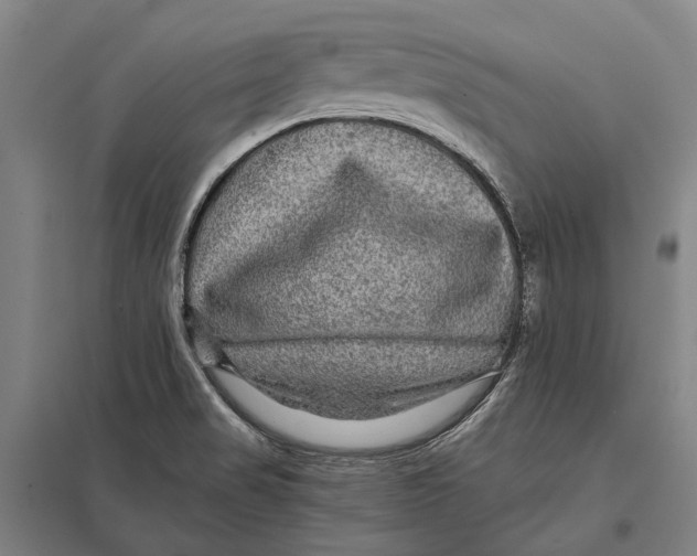 X0000097761517200803281622