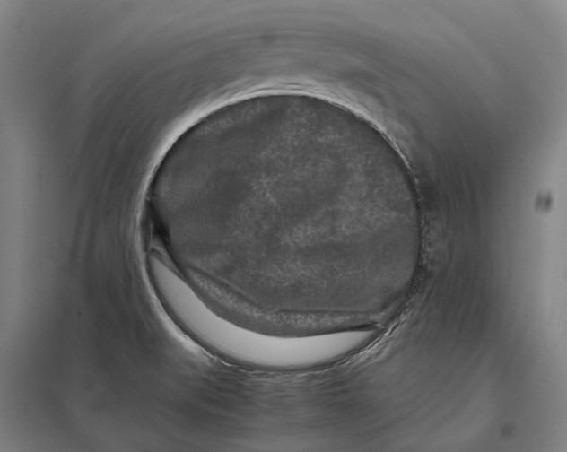 X0000097761519200803281622