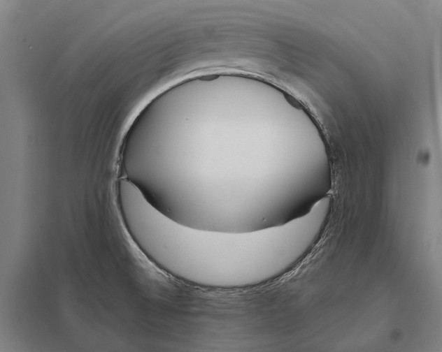 X0000097761524200803281622