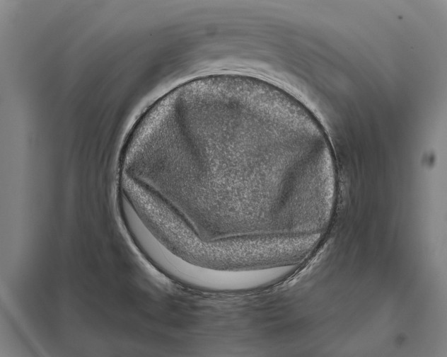 X0000097761525200803281622