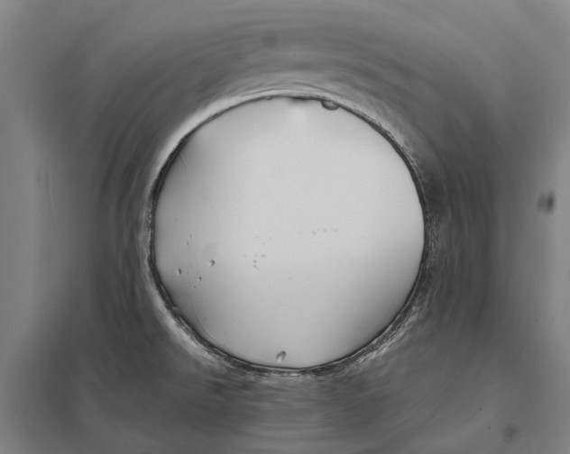 X0000097761526200803281622