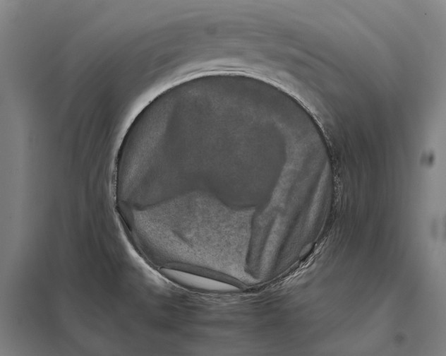 X0000097761527200803281622