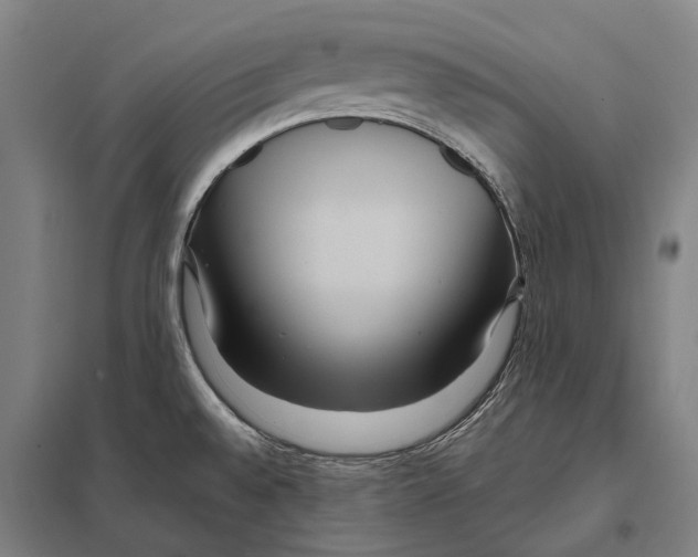 X0000097761528200803281622