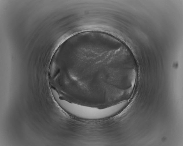 X0000097761529200803281622