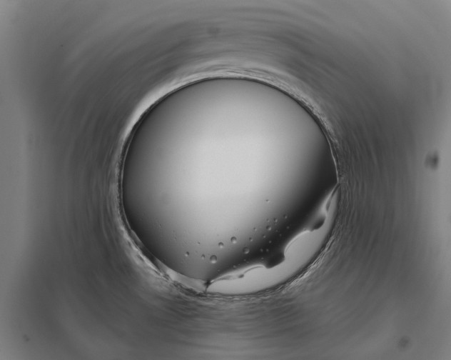 X0000097761530200803281622