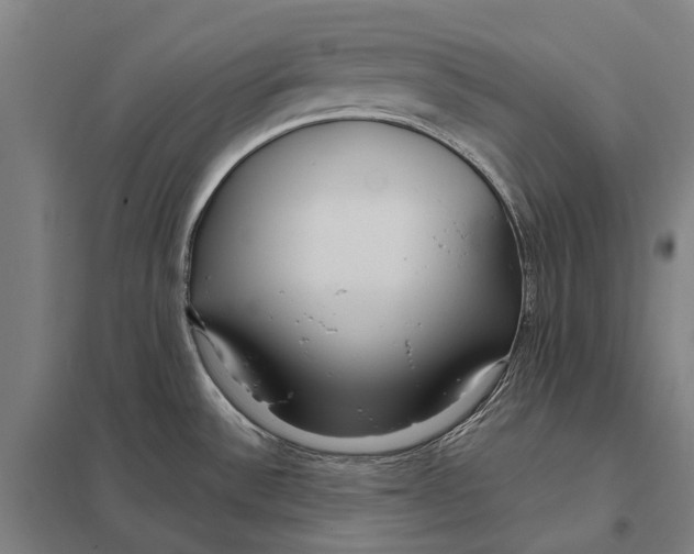 X0000097761532200803281622