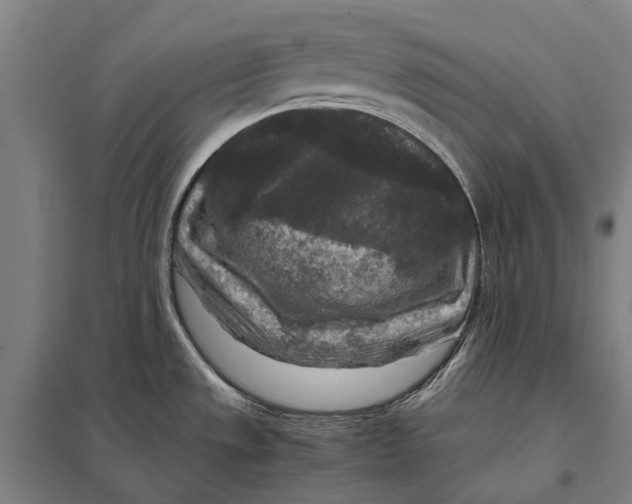 X0000097761533200803281622