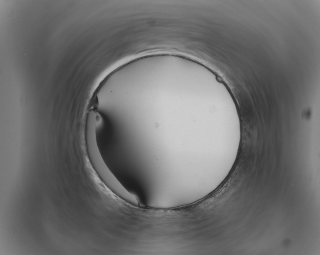 X0000097761534200803281622