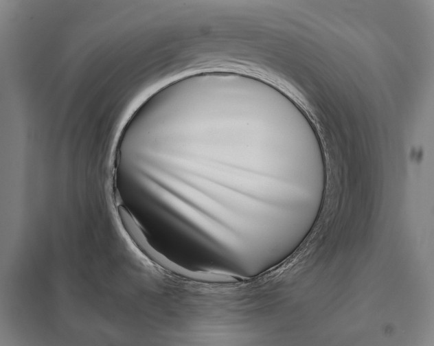 X0000097761536200803281622