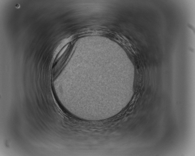 X0000097760003200804041136