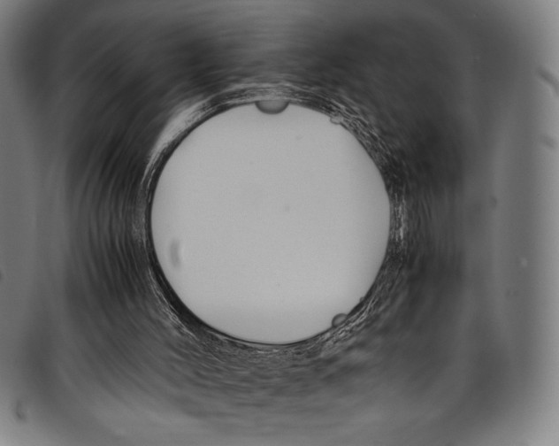 X0000097760004200804041136