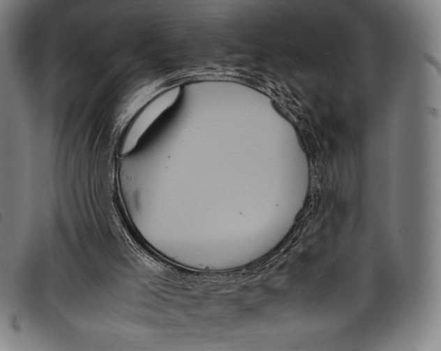 X0000097760005200804041136