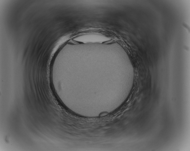 X0000097760006200804041136