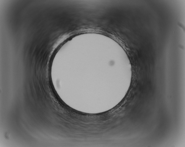 X0000097760008200804041136