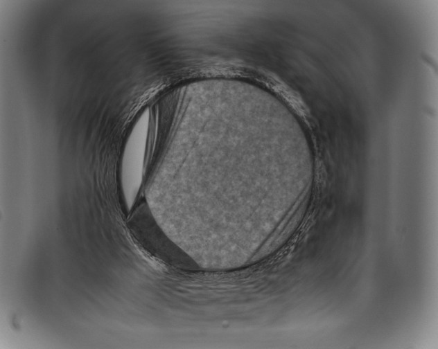 X0000097760009200804041136