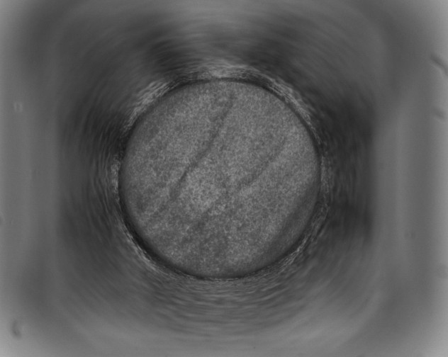 X0000097760010200804041136