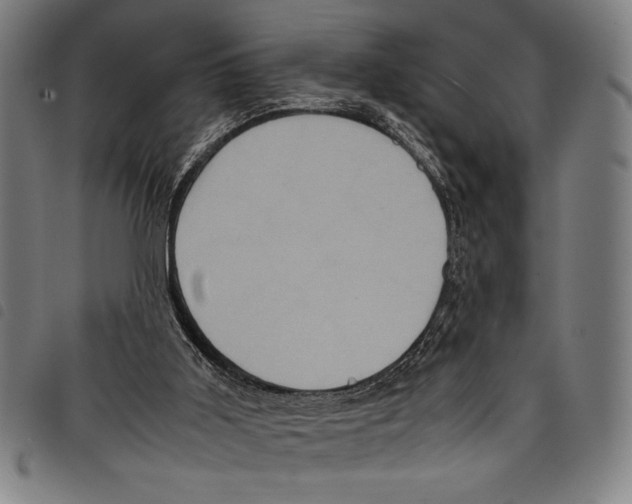 X0000097760011200804041136