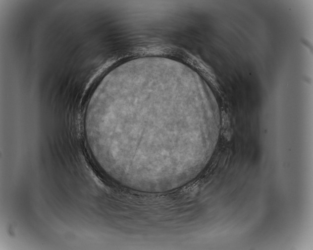 X0000097760012200804041136