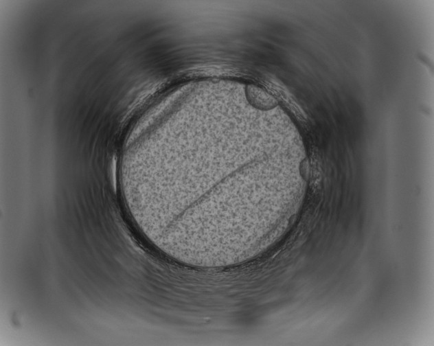 X0000097760014200804041135