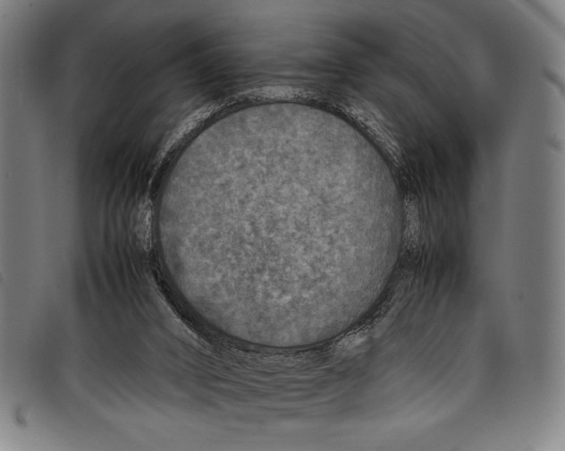 X0000097760016200804041135