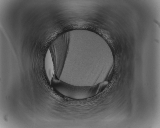 X0000097760017200804041135