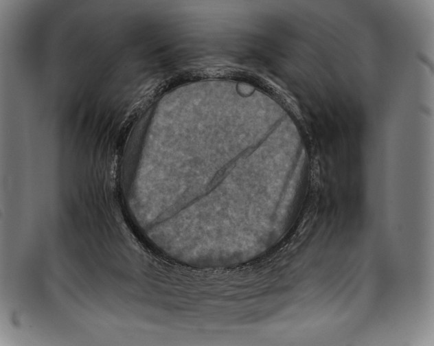 X0000097760018200804041135