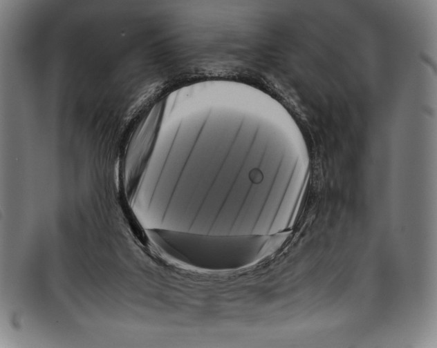 X0000097760019200804041135