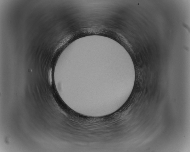 X0000097760020200804041135