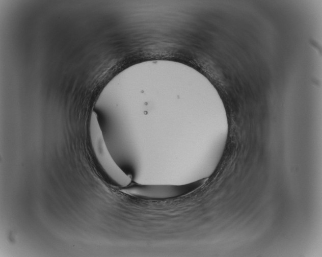 X0000097760021200804041135