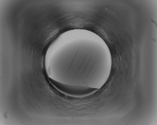 X0000097760023200804041135